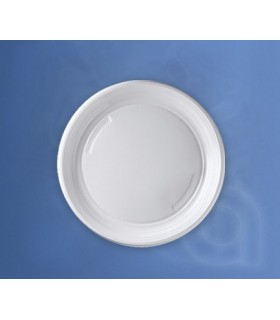PIATTO PIANO  pz.100 (cf 10)